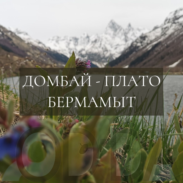 Домбай - плато Бермамыт